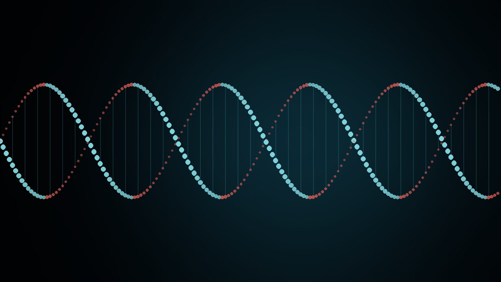 DNA helix visualisation